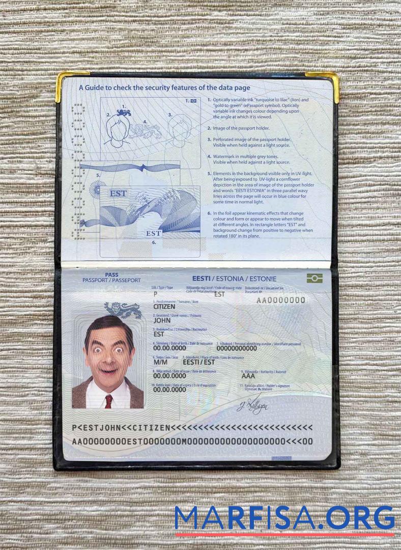 Realistic Estonia passport photo look template